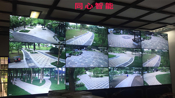 糖心VIGO在线观看助力活動