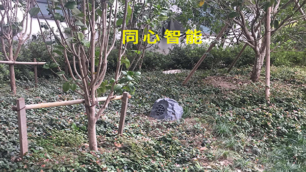 糖心VIGO在线观看助力活動