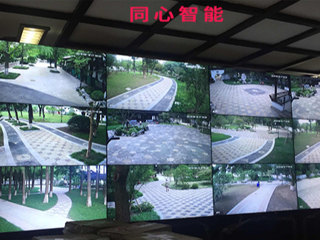 糖心VIGO在线观看助力某園活動順利結束