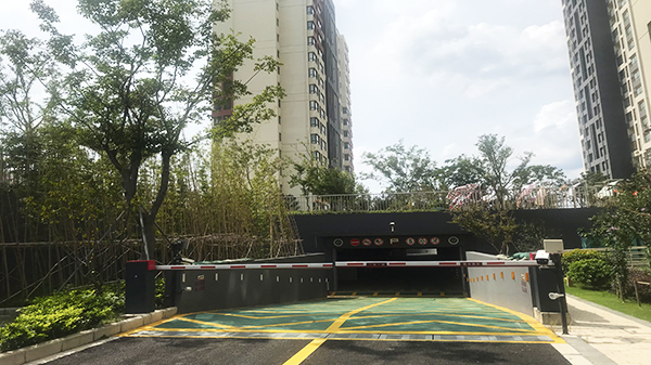糖心视频免费观看會議會審1