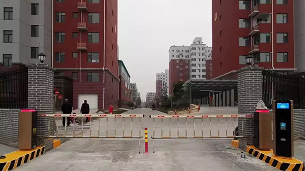 糖心视频免费观看商