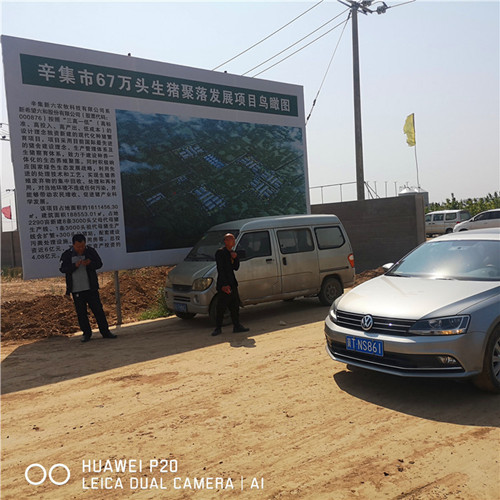 辛集市67萬頭生豬聚落采購糖心视频免费观看鋼三柱糖心VIGO在线观看
